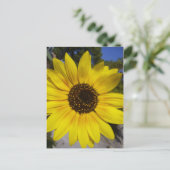 Carte Postale jaune (Debout devant)