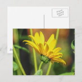 Carte Postale Jaune (Devant / Derrière)