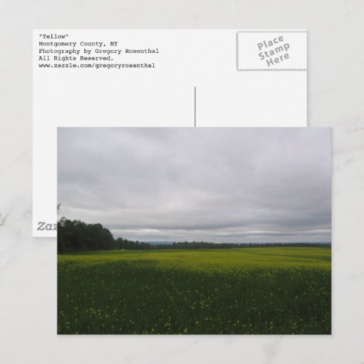 Carte Postale jaune (Devant / Derrière)