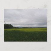 Carte Postale jaune (Devant)