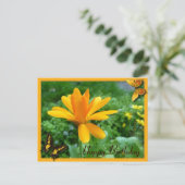 Carte Postale Jaune calendula (Debout devant)