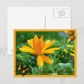 Carte Postale Jaune calendula (Devant / Derrière)
