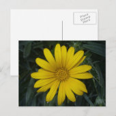 Carte Postale jaune clair (Devant / Derrière)