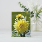 Carte postale Jaune Dahlia (Debout devant)