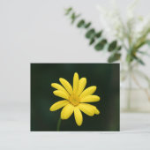 Carte postale Jaune Daisy (Debout devant)