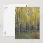 Carte Postale Jaune d'Aspen (Devant / Derrière)