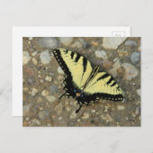 Carte postale Jaune et Noir Swalloway (Devant / Derrière)