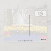 Carte Postale Jaune Keukenhof jardins, Amsterdam, Pays-Bas f (Dos)