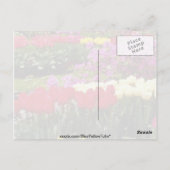 Carte Postale Jaune Keukenhof jardins, Amsterdam, Pays-Bas f (Dos)