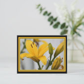 Carte Postale Jaune Lillies (Debout devant)