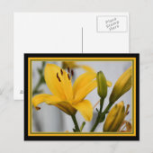 Carte Postale Jaune Lillies (Devant / Derrière)