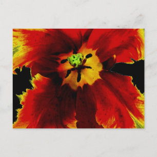 Carte Postale Jaune Marron sur motif floral noir