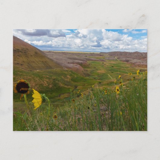 Carte Postale Jaune Mounds Overlook, Badlands NP, Dakota du Sud (Devant)