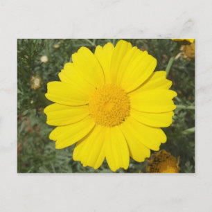 Carte postale Jaune, personnaliser