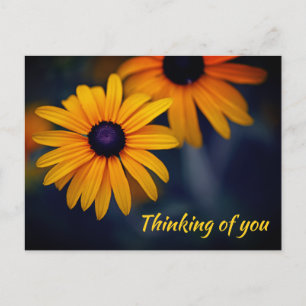 Carte Postale Jaune Suzanne Jardin Fleur Manquant Vous