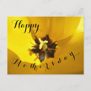 Carte postale Jaune Tulip Gros plan