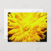 Carte postale jaune vif (Devant / Derrière)