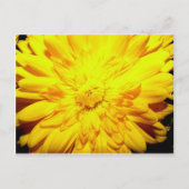 Carte postale jaune vif (Devant)