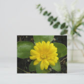 Carte postale jaune vif Marigold (Debout devant)