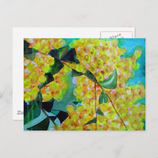 Carte Postale Jaune Wattle (Devant / Derrière)