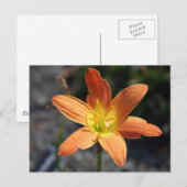 Carte postale Java (Devant / Derrière)