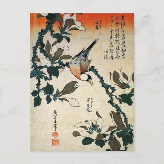 Carte Postale Java Sparrow et Kobushi Magnolia (par Hokusai) (Devant)