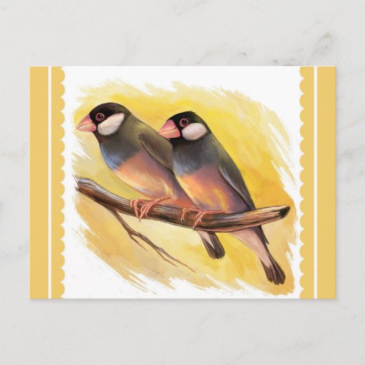 Carte Postale Java Sparrow finition peinture réaliste (Devant)