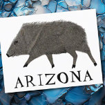 Carte Postale Javelina ARIZONA Desert Wild Animal Peccary Nature<br><div class="desc">Customize this cute javelina card by adding your own text. Check my shop for more!

If you buy it,  thank you! Be sure to share a pic on Instagram of it in action and tag me @shoshannahscribbles :)</div>