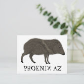 Carte Postale Javelina PHOENIX Désert Peccaire Animaux Sauvages  (Debout devant)