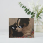 Carte postale Jay (Debout devant)