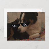 Carte postale Jay (Devant / Derrière)