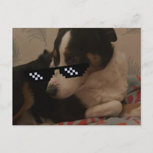 Carte postale Jay (Devant)