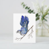 Carte Postale Jay bleu d'oiseau de la forêt (Debout devant)