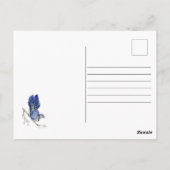 Carte Postale Jay bleu d'oiseau de la forêt (Dos)