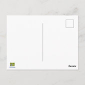 Carte Postale Jay bleu du nord (Dos)