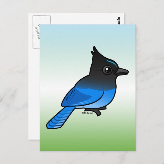 Carte Postale Jay de Steller (Devant / Derrière)