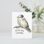 Carte Postale Jay gris gris d'oiseaux du Canada, Jack Whiskey (Debout devant)