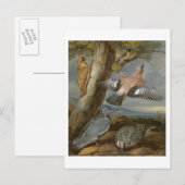 Carte Postale Jay, Pic vert, Pigeons et Redstart, c.165 (Devant / Derrière)