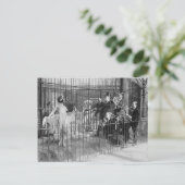 Carte Postale Jazz Band Entertainment Polar Bears, 1925 (Debout devant)