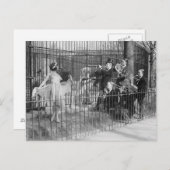 Carte Postale Jazz Band Entertainment Polar Bears, 1925 (Devant / Derrière)