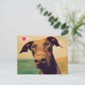 Carte Postale J'Coeur Mon Doberman Naturel (Debout devant)