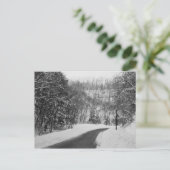 Carte Postale jct (Debout devant)