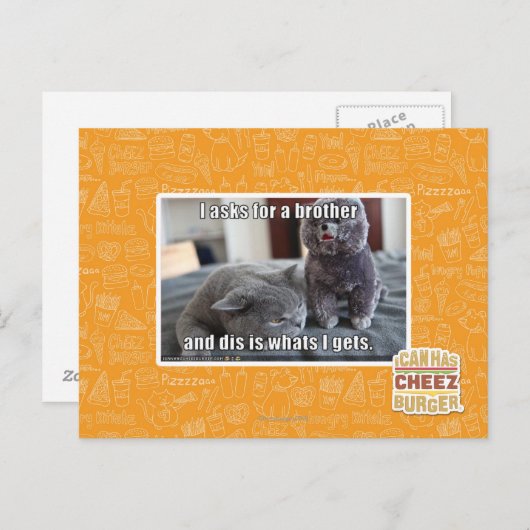 Carte Postale Je demande à un frère (Devant / Derrière)
