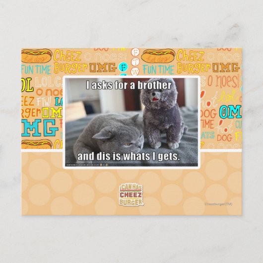 Carte Postale Je demande à un frère (Devant)