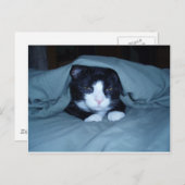 Carte Postale Je déteste lundi ! (Devant / Derrière)