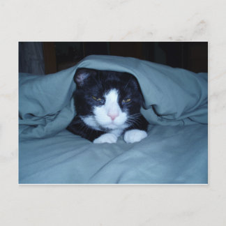 Carte Postale Je déteste lundi !