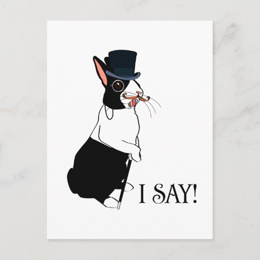 CARTE POSTALE JE DIS : (Devant)