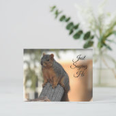 Carte Postale Je Dis Salut. | Cute écureuil photo (Debout devant)