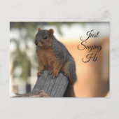 Carte Postale Je Dis Salut. | Cute écureuil photo (Devant)