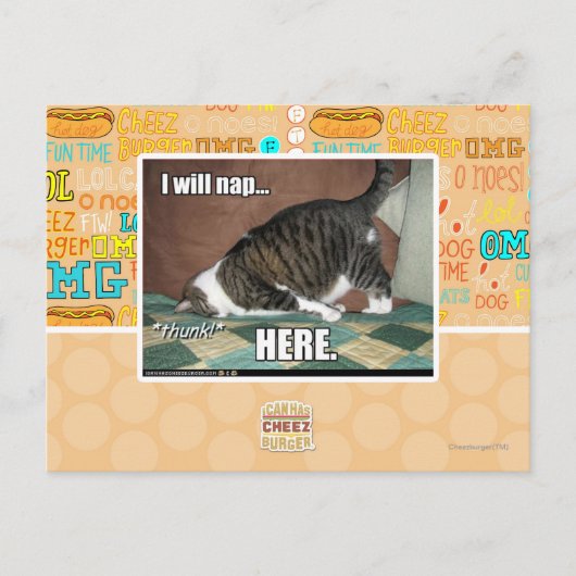 Carte Postale Je ferai une sieste ici (Devant)